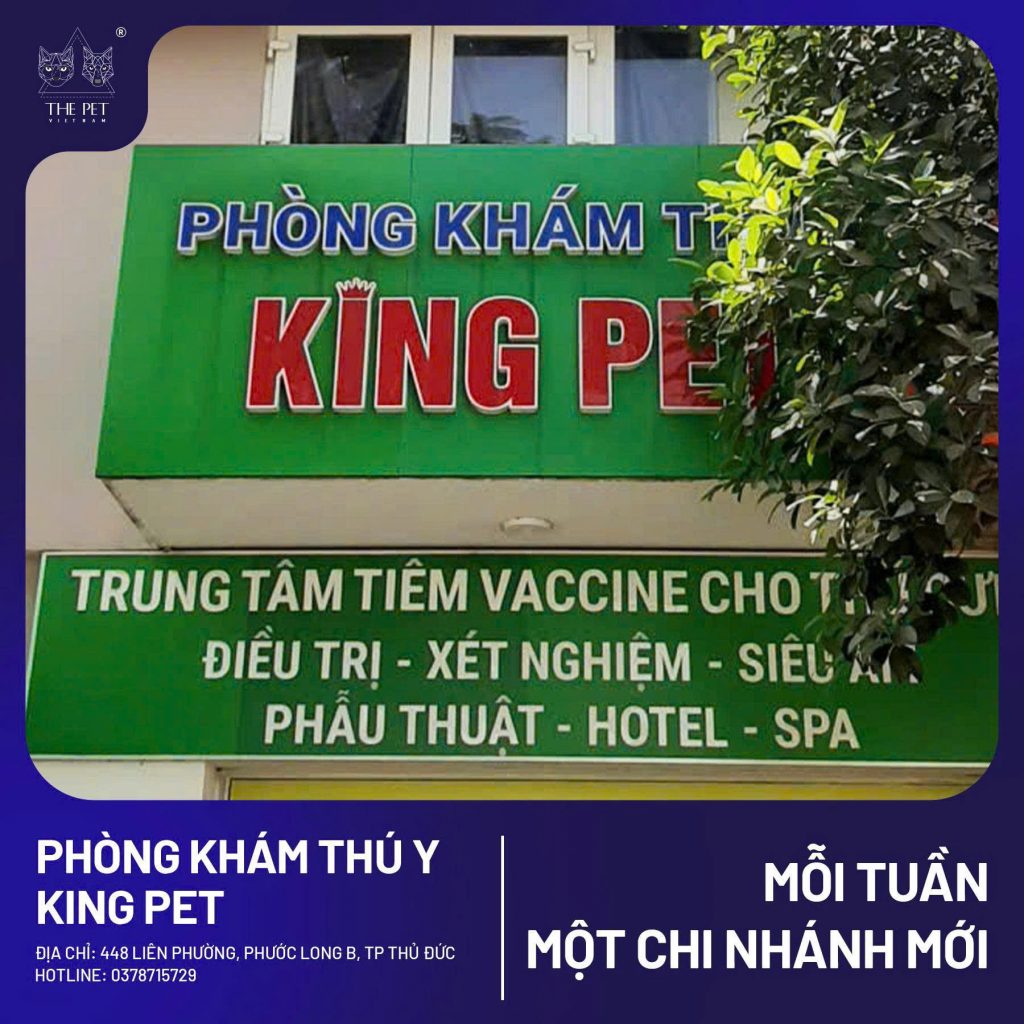 z7707032739949 e1966e11b6b6b8d79cbd53a2b633889d