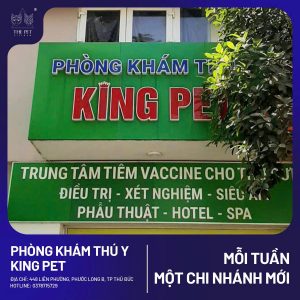 z7707032739949 e1966e11b6b6b8d79cbd53a2b633889d