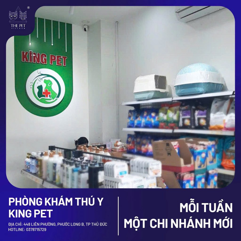 z7707032764279 732dedeab7b5249923b07a811bf0e92d