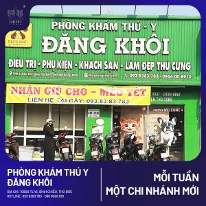 z7713954164719 df09ac6df5b6909eabb33f978b949bc1