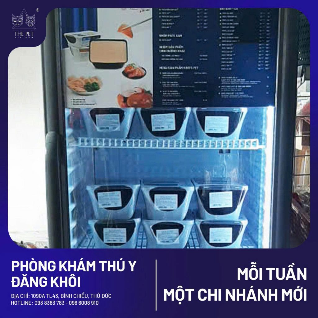 z7713954171812 862e8e86d132804551c4d7449e55e675