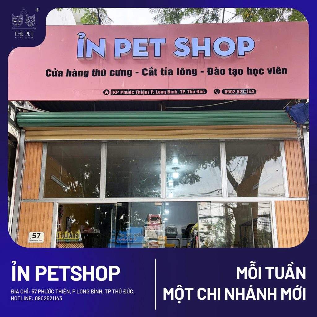 chó mèo tại khu vực Thủ Đức