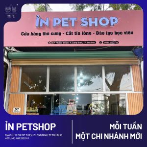 chó mèo tại khu vực Thủ Đức