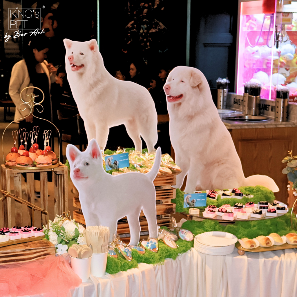 King’s Pet by Bao Anh Đồng Hành Cùng Buổi Công Chiếu Phim “Tạm Biệt Gohan” Đầy Cảm Xúc 3 King's Pet by Bao Anh