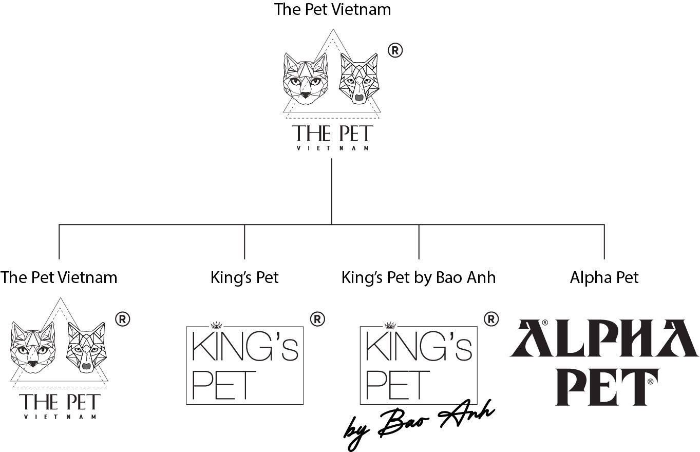 Sơ đồ cấu trúc The Pet Vietnam