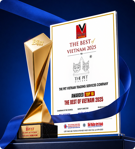 Những Thành Tựu Đạt Được