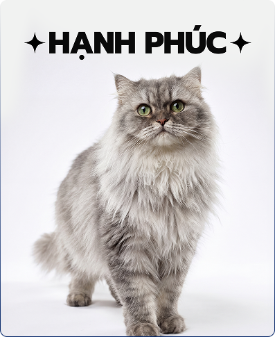 Hạnh Phúc