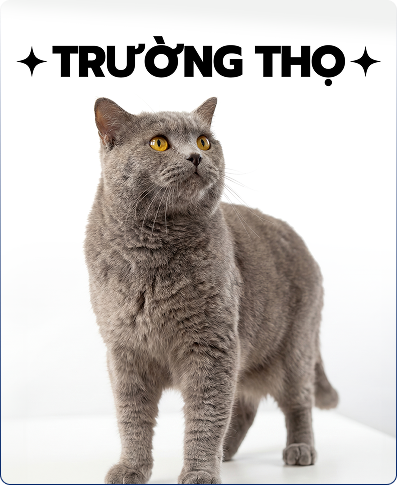 Trường Thọ