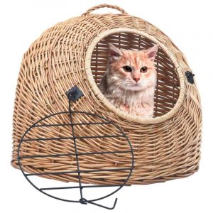 Những rủi ro khi vận chuyển mèo và cách phòng tránh