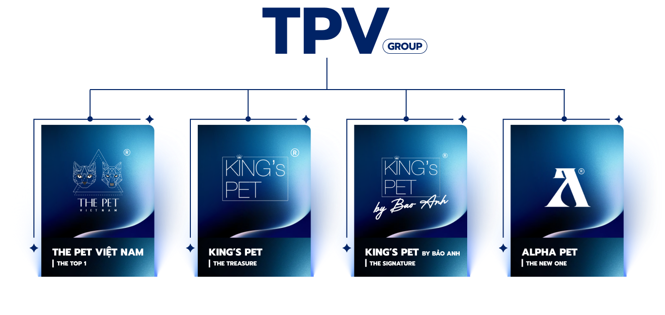 Sơ đồ cấu trúc The Pet Vietnam