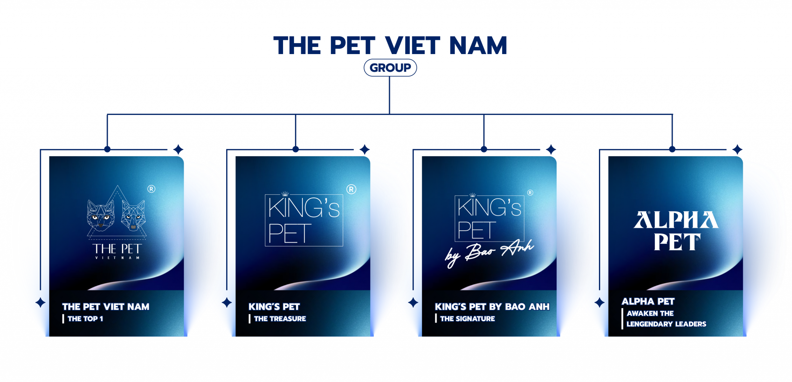 STRUCTURE DIAGRAM - The Pet Vietnam