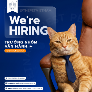 Quản lý vận hành