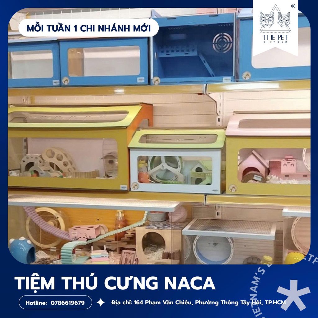 Tiệm Thú Cưng Naca: Điểm Đến Cho Sen Nuôi Chó Mèo Và Thú Cưng Nhỏ Tại Gò Vấp 2 Tiệm thú cưng Naca