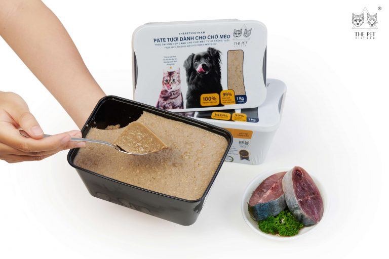 Tẩy Giun Cho Mèo: 5 Bước Hỗ Trợ Mèo Khỏe Mạnh Sau Khi Điều Trị 6 tay-giun-cho-meo