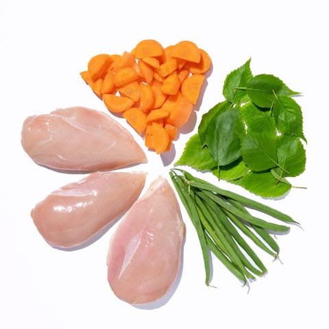 Thức Ăn Cho Chó Bị Thận: Hướng Dẫn Chăm Sóc Qua Chế Độ Ăn 2 thuc-an-cho-cho-bi-than