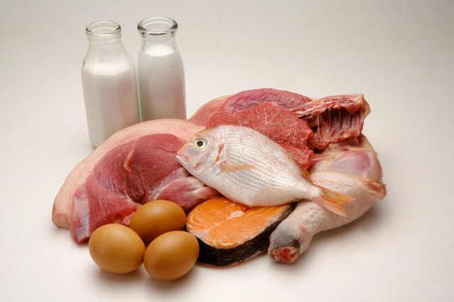Thức Ăn Cho Mèo: Bí Quyết Chọn Khẩu Phần Phù Hợp Theo Nhu Cầu Dinh Dưỡng 2 thuc-an-cho-meo