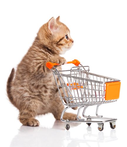 Pet Shop Bán Pate Tươi Gần Đây: 4 Điều Cần Biết Khi Mua Pate Cho Thú Cưng 1 pet-shop-ban-pate-tuoi-gan-day