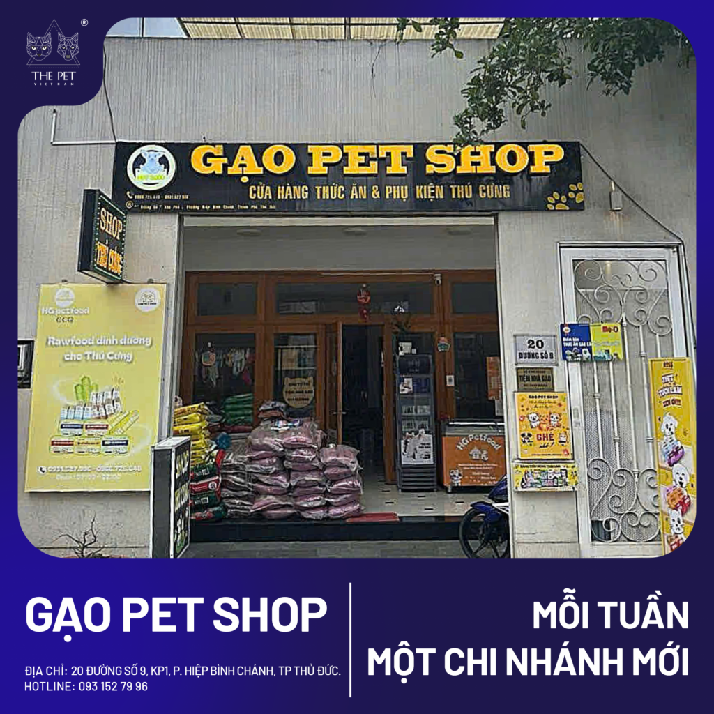 Top 6 Shop Thú Cưng Uy Tín Tại TP. Hồ Chí Minh 6 shop-thu-cung
