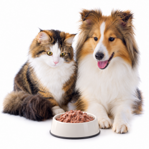 nhap-si-pate-cho-pet-shop