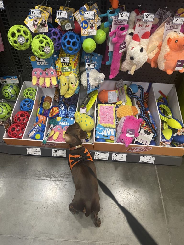 pet-shop